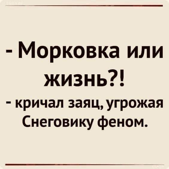 Морковка или жизнь кричал заяц угрожая Снеговику феном