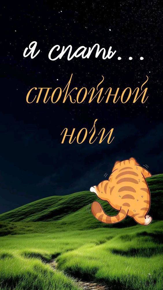 я спать... спокойной ночи