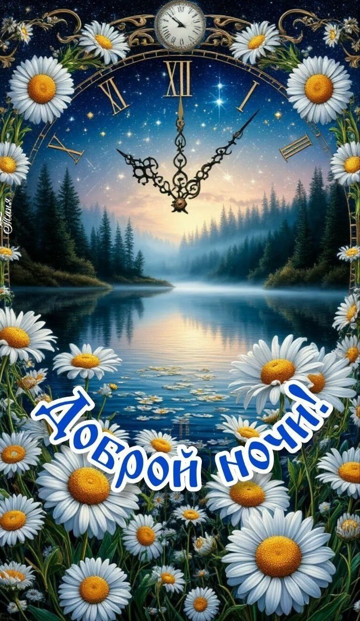 Доброй ночи!