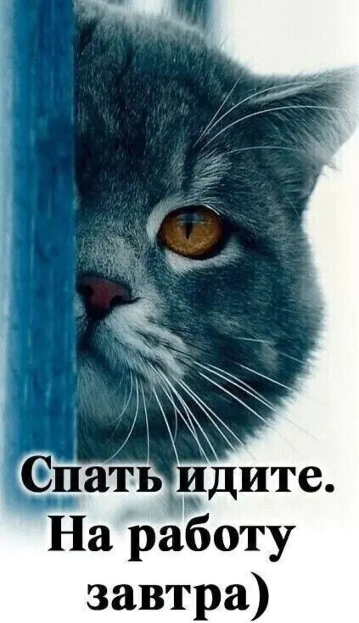 Спать идите. На работу завтра)