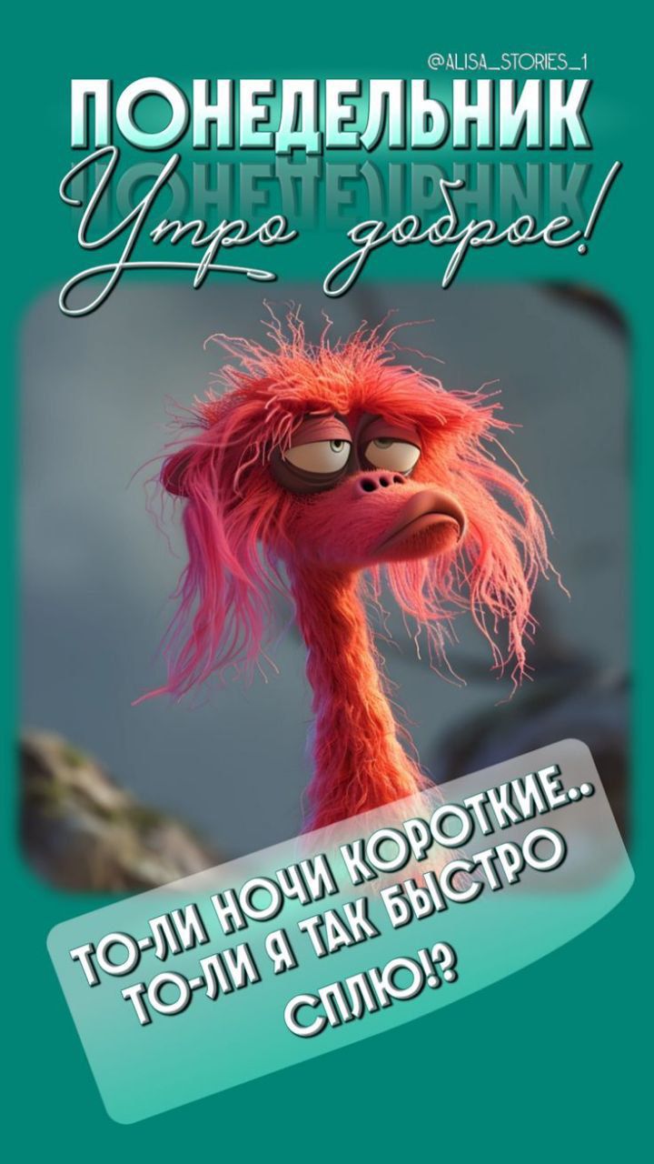 ПОНЕДЕЛЬНИК Утро доброе! ТО-ЛИ НОЧИ КОРОТКИЕ.. ТО-ЛИ Я ТАК БЫСТРО СПЛЮ!?