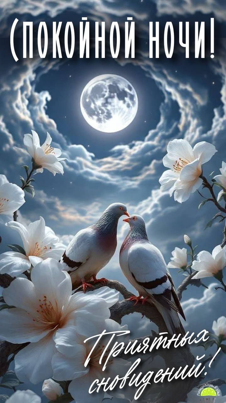 Спокойной ночи! Приятные сновидения!