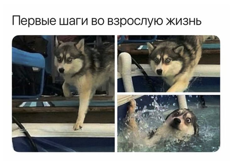 Первые шаги во взрослую жизнь