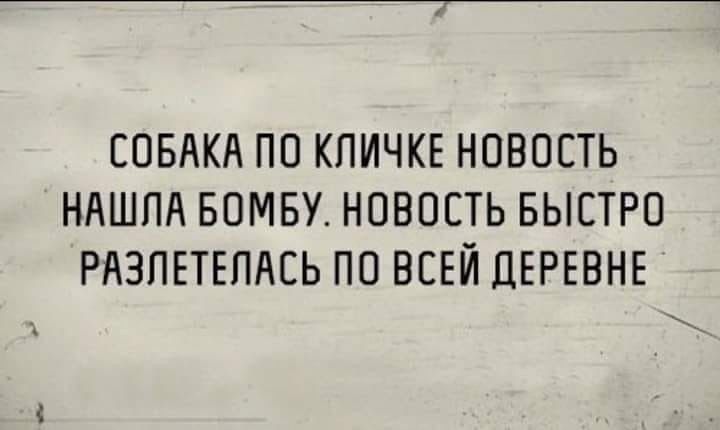 СОБАКА ПО КПИЧКЕ НОВОСТЬ НАШПА БОМБУ НОВОСТЬ БЫСТРО РАЗПЕТЕПАСЬ ПО ВСЕЙ ДЕРЕВНЕ