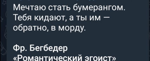 Мечтаю стать бумерангом Тебя кидают а ты им обратно в морду Фр Бегбедер Романтический эгоист