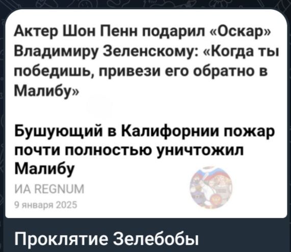 Актер Шон Пенн подарил Оскар Владимиру Зеленскому Когда ты победишь привези его обратно в Малибу Бушующий в Калифорнии пожар почти полностью уничтожил Малибу Проклятие Зелебобы