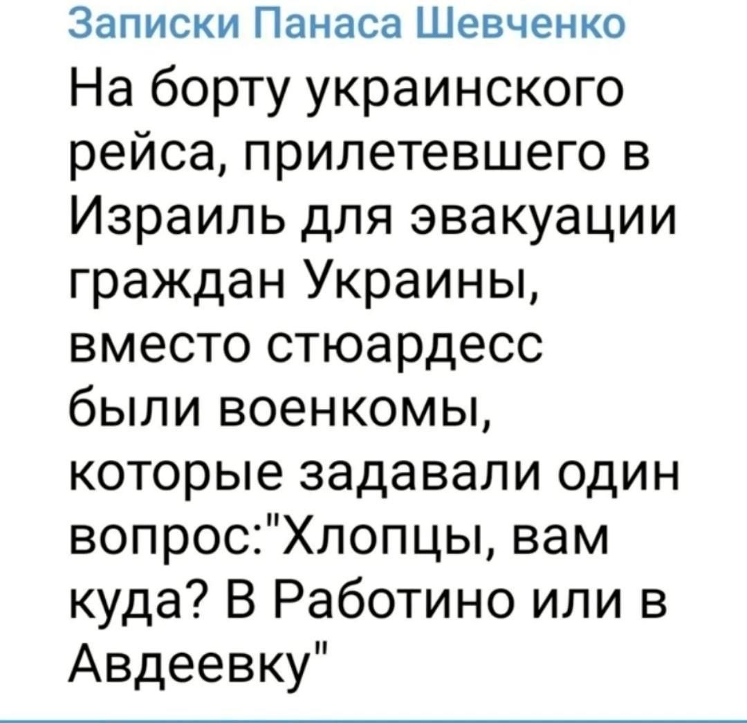 На борту украинского рейса, прилетевшего в Израиль для эвакуации граждан Украины, вместо стюардесс были военкомы, которые задавали один вопрос: 