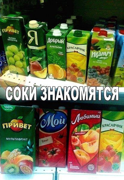 СОКИ ЗНАКОМЯТСЯ