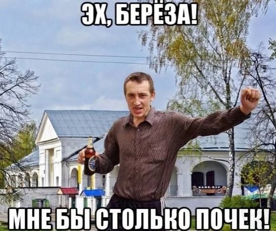 ЭХ, БЕРЕЗА! МНЕ БЫ СТОЛЬКО ПОЧЕК!