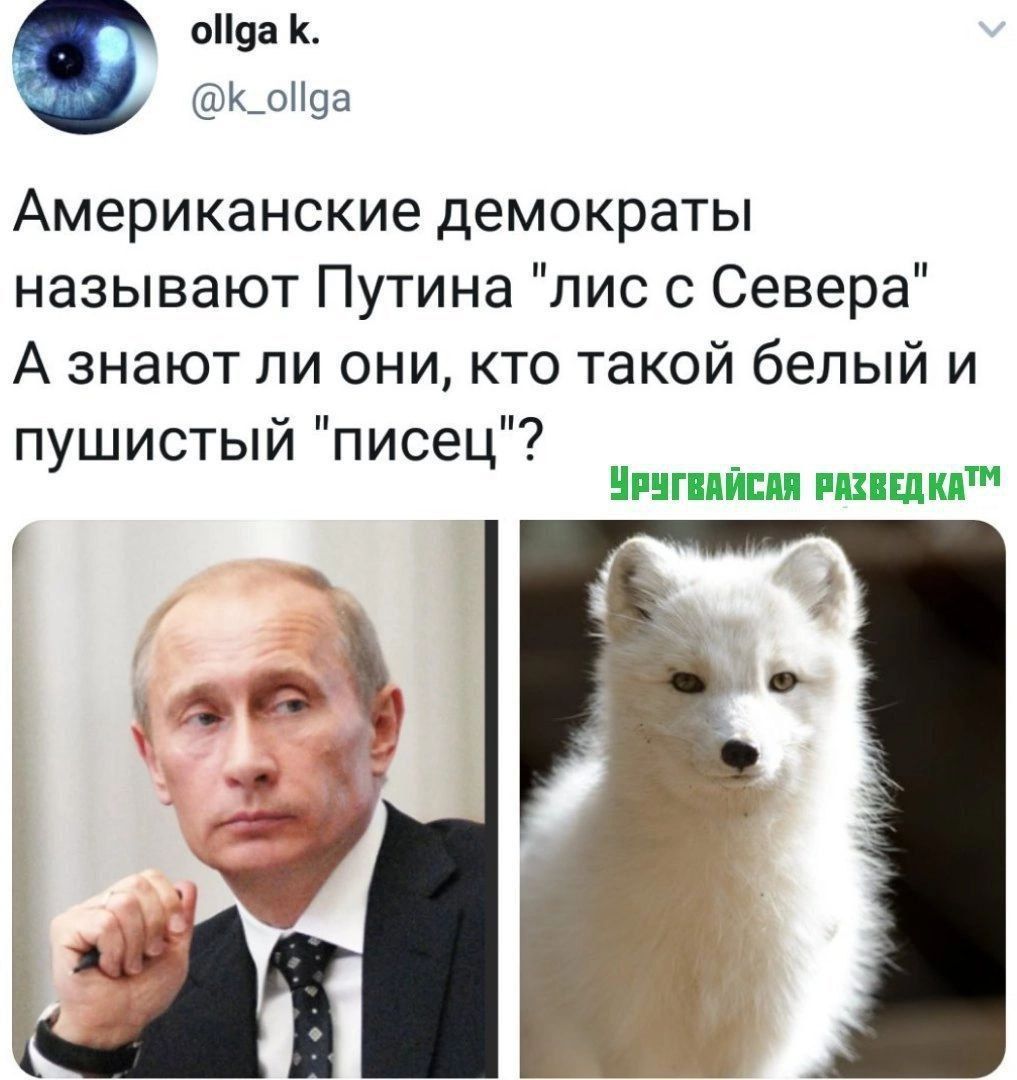 Американские демократы называют Путина 