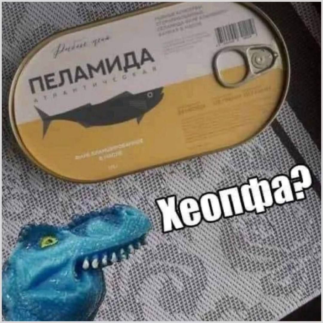 ПЕЛАМИДА

Хеоффа?