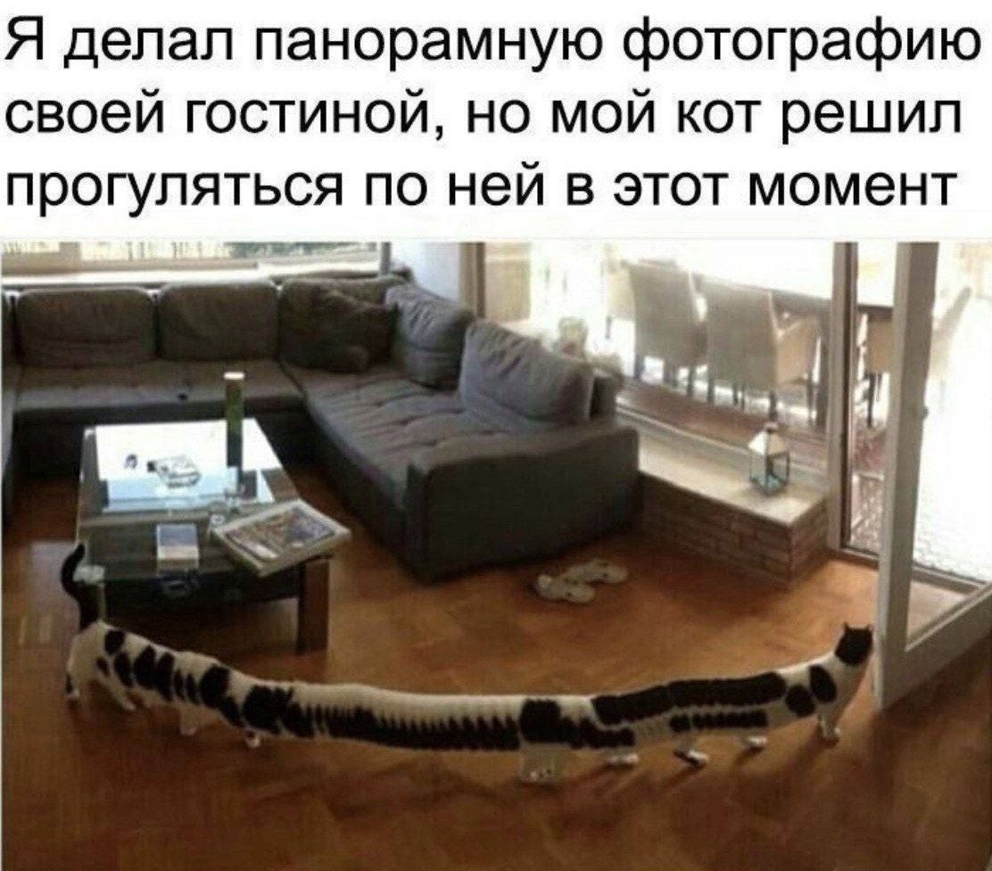 Я делал панорамную фотографию своей гостиной, но мой кот решил прогуляться по ней в этот момент
