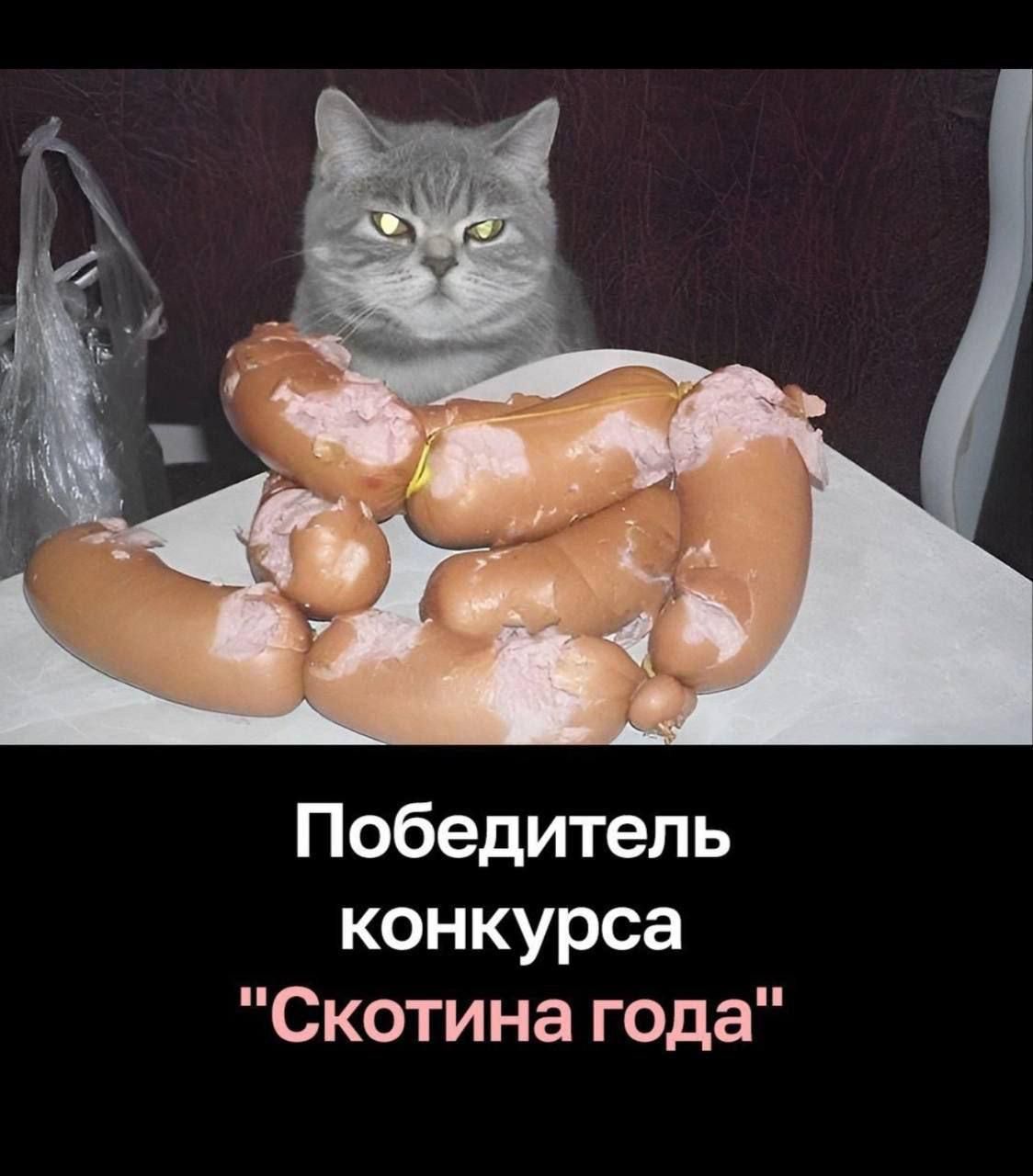 Победитель конкурса 