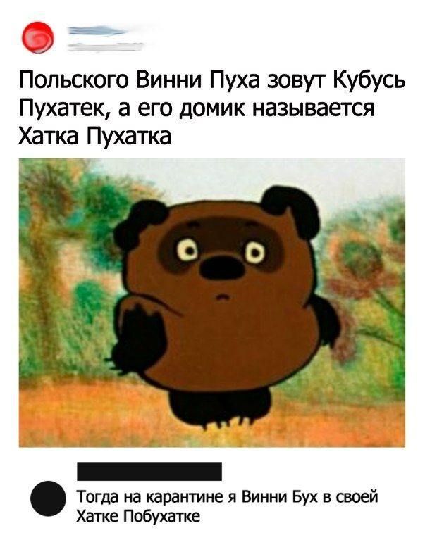 Польского Винни Пуха зовут Кубусь Пухатек, а его домик называется Хатка Пухатка
Тогда на карантине я Винни Бух в своей Хатке Побухатке