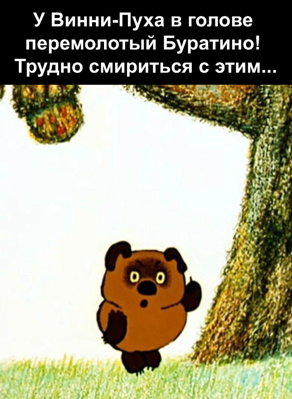 У Винни-Пуха в голове перемолотый Буратино! Трудно смириться с этим...