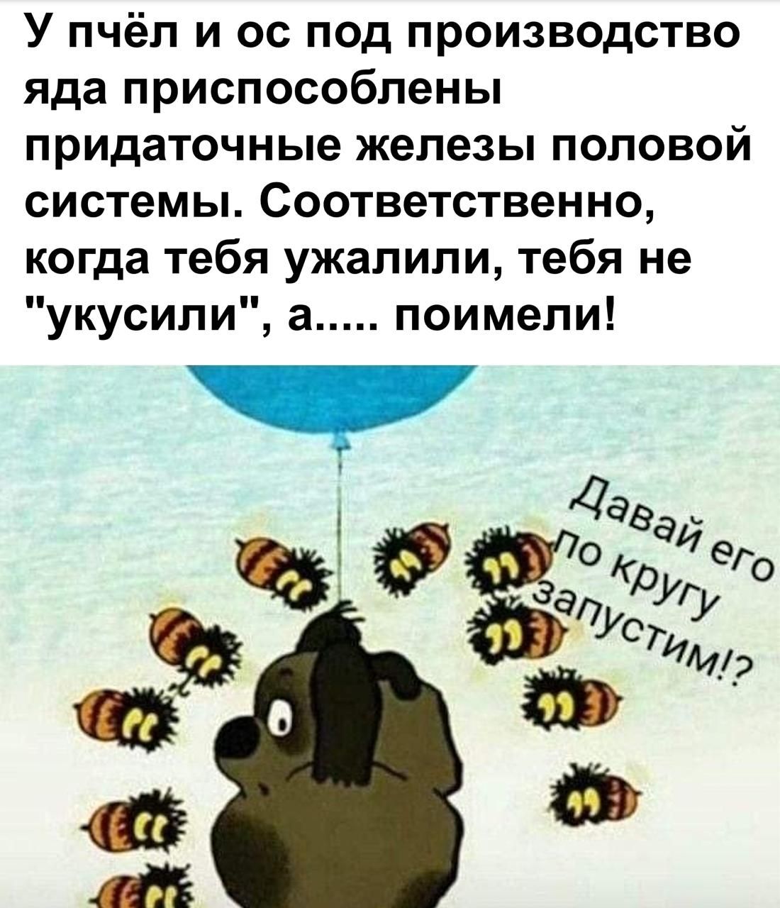У пчёл и ос под производство яда приспособлены придаточные железы половой системы. Соответственно, когда тебя ужалили, тебя не 