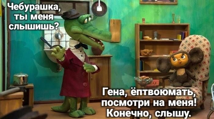Чебурашка, ты меня слышишь? Гена, ёптвоюматть, посмотри на меня! Конечно, слышу.