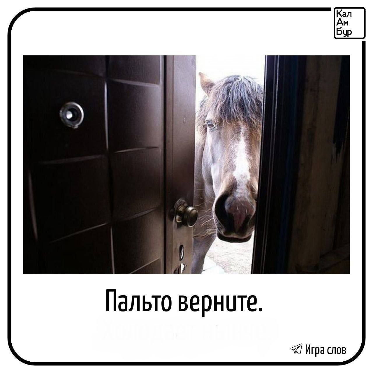 Пальто верните.
