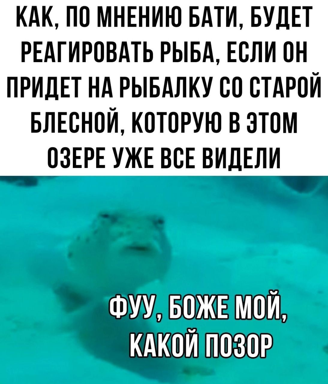 Как, по мнению бати, будет реагировать рыба, если он придет на рыбалку со старой блесной, которую в этом озере уже все видели.
ФУУ, БОЖЕ МОЙ, КАКОЙ ПОЗОР