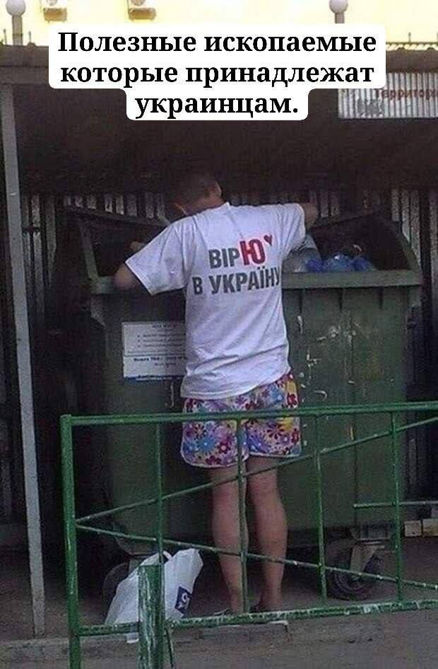 Полезные ископаемые которые принадлежат украинцам. ВІРЮ В УКРАЇНУ