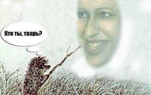 Кто ты, тварь?