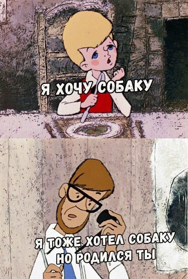 Я ХОЧУ СОБАКУ
Я ТОЖЕ ХОТЕЛ СОБАКУ НО РОДИЛСЯ ТЫ