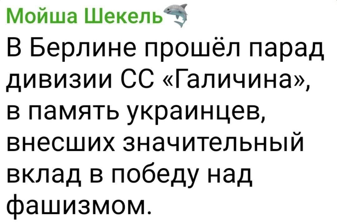В Берлине прошёл парад дивизии СС «Галичина», в память украинцев, внесших значительный вклад в победу над фашизмом.