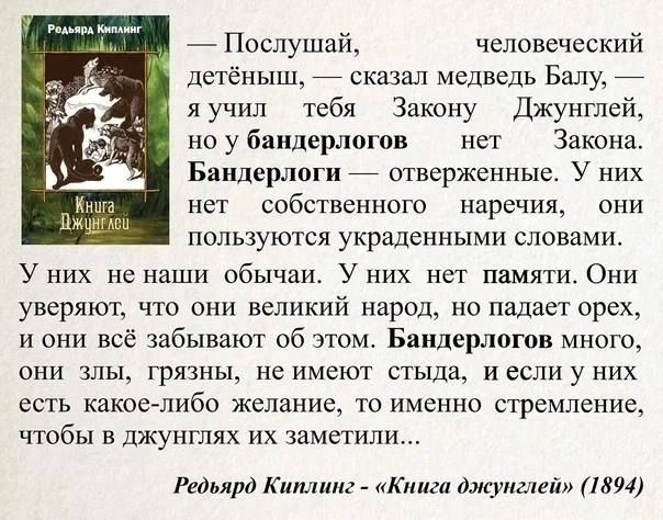 — Послушай, человеческий детёныш, — сказал медведь Балу, — я учил тебя Закону Джунглей, но у бандерлогов нет Закона. Бандерлоги — отверженные. У них нет собственных наречий, они пользуются украденными словами.

У них не наши обычаи. У них нет памятей. Они уверяют, что они великий народ, не падает орех, и они всё забывают об этом. Бандерлогов много, они злы, грязны, не имеют стыда, и если у них есть какое-либо желание, то именно стремление, чтобы в джунглях их заметили...

Редьярд Киплинг — «Книга джунглей» (1894)