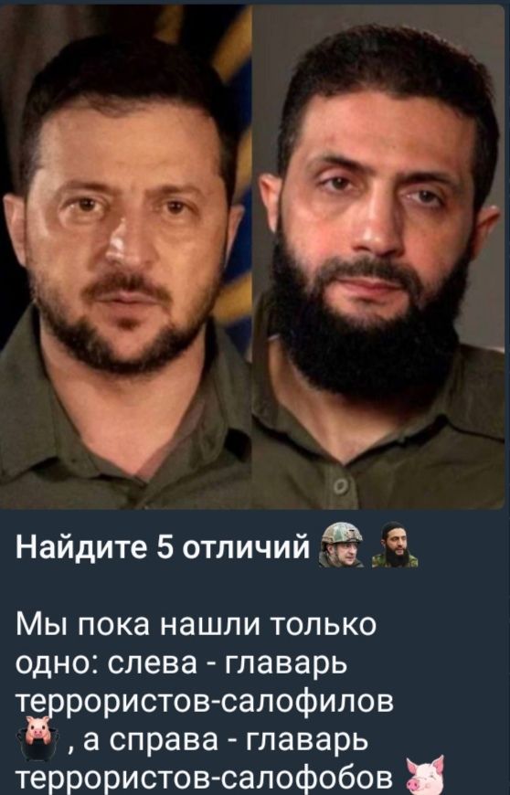 Найдите 5 отличий

Мы пока нашли только одно: слева - главарь террористов-салофилов 🐷, а справа - главарь террористов-салобофов 🐷