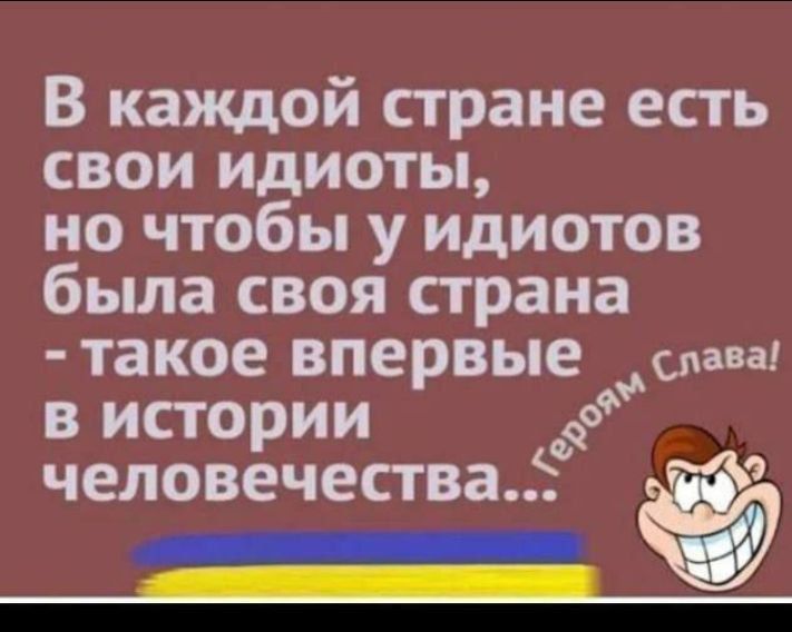 В каждой стране есть свои идиоты, но чтобы у идиотов была своя страна - такое впервые в истории человечества... Героям Слава!
