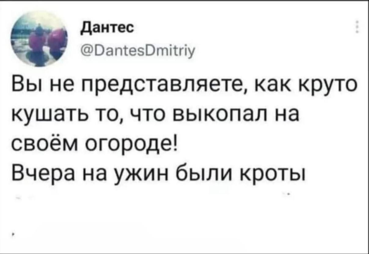 Вы не представляете, как круто кушать то, что выкопал на своём огороде! Вчера на ужин были кроты