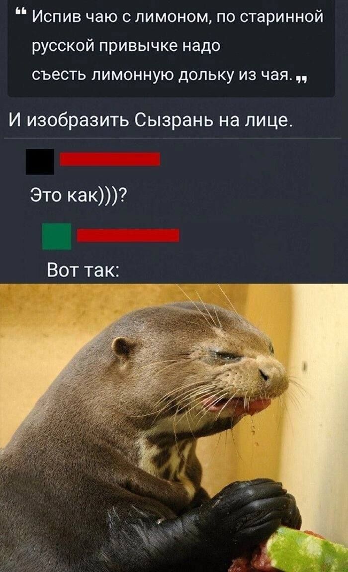 Испив чаю с лимоном, по старинной русской привычке надо съесть лимонную дольку из чая. И изобразить Сызрань на лице.
Это как)))? Вот так: