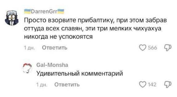 Просто взорвите прибалтику, при этом забрав оттуда всех славян, эти три мелких чихуахуа никогда не успокоятся
Удивительный комментарий