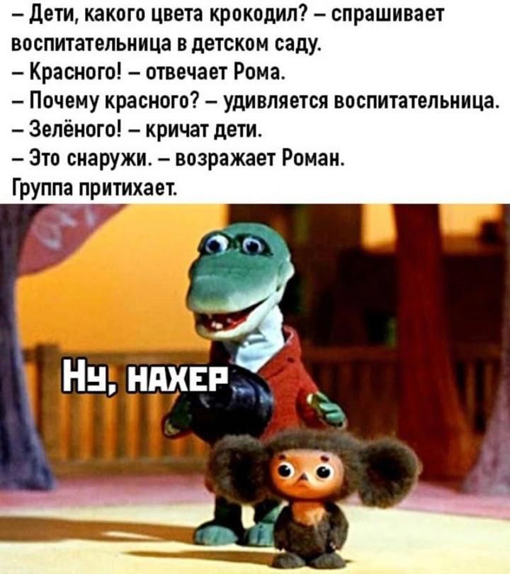 – Дети, какого цвета крокодил? – спрашивает воспитательница в детском саду.
– Красного! – отвечает Рома.
– Почему красного? – удивляется воспитательница.
– Зелёного! – кричат дети.
– Это снаружи. – возражает Роман.
Группа притихает.

Ну, нахер.