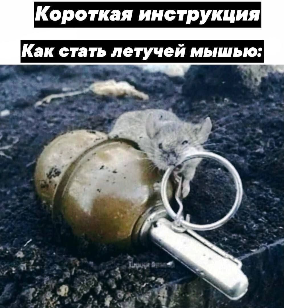 Короткая инструкция Как стать летучей мышью: