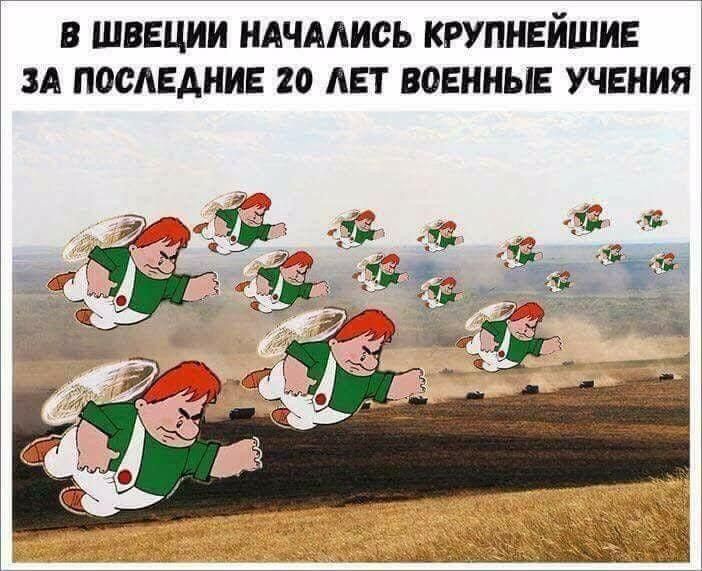 В Швеции начались крупнейшие за последние 20 лет военные учения