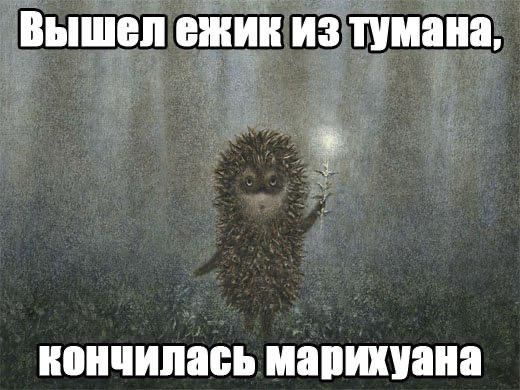 Вышел ежик из тумана, кончилась марихуана