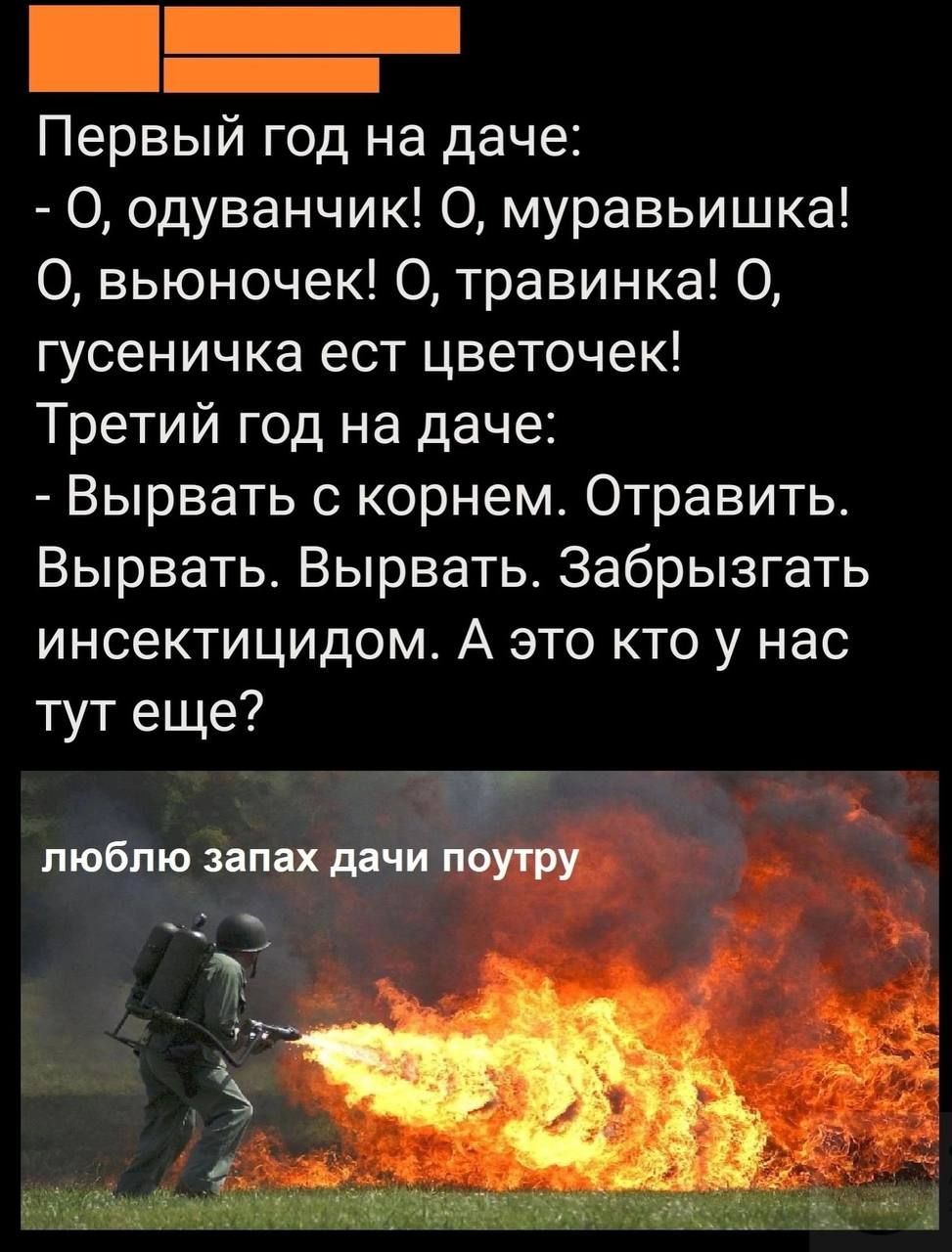 Первый год на даче:
- О, одуванчик! О, муравейка! О, выюночек! О, травинка! О, гусеничка ест цветочек!
Третий год на даче:
- Вырывать с корнем. Отравить. Вырывать. Вырывать. Забрызгать инсектицидом. А это кто у нас тут еще?
люблю запах дачи поутру