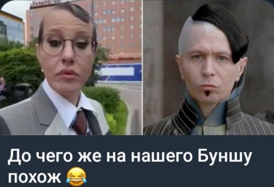 До чего же на нашего Буншу похож 😂