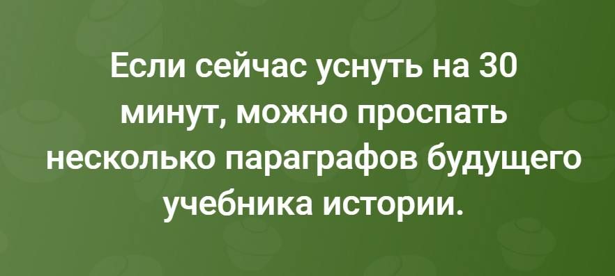 Если сейчас уснуть на 30 минут, можно проспать несколько параграфов будущего учебника истории.