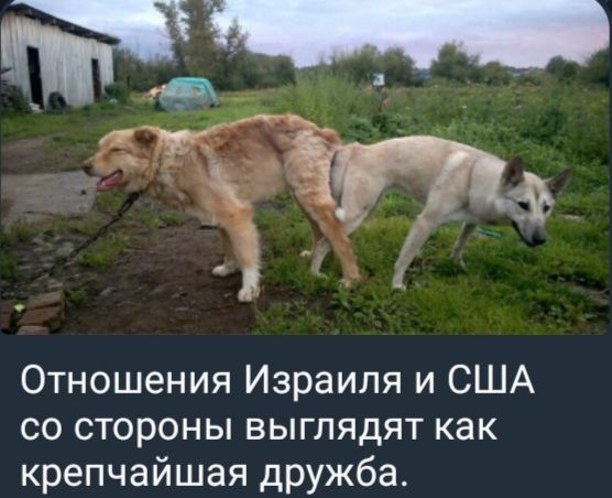 Отношения Израиля и США со стороны выглядят как крепчайшая дружба.