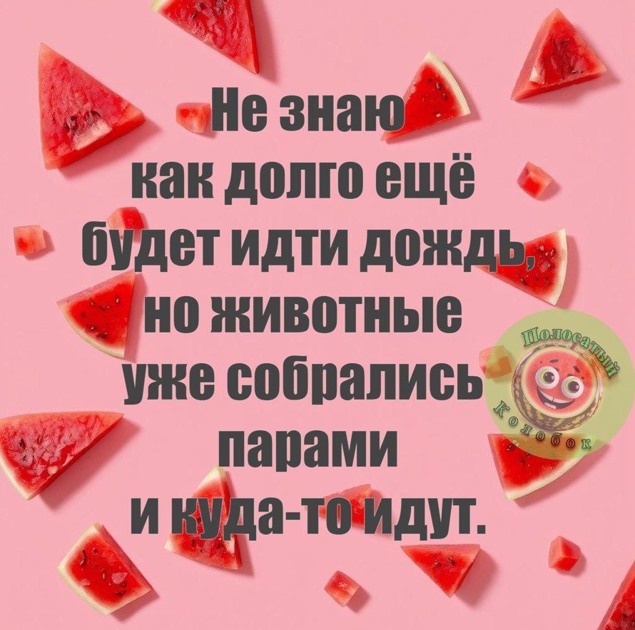 Не знаю как долго ещё будет идти дождь; но животные уже собрались парами и куда-то идут.