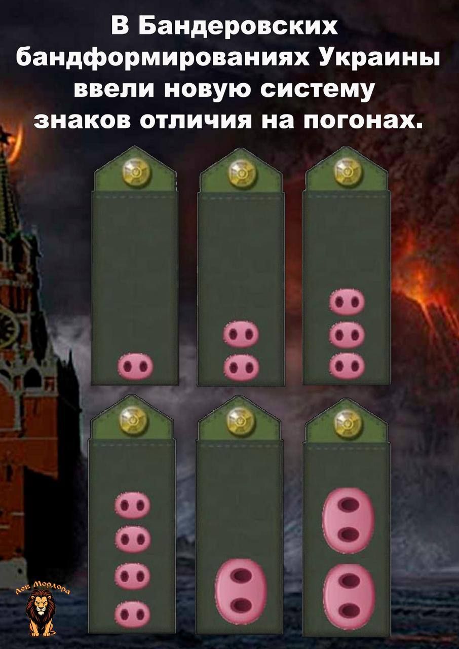В Бандеровских бандформированиях Украины ввели новую систему знаков отличия на погонах.