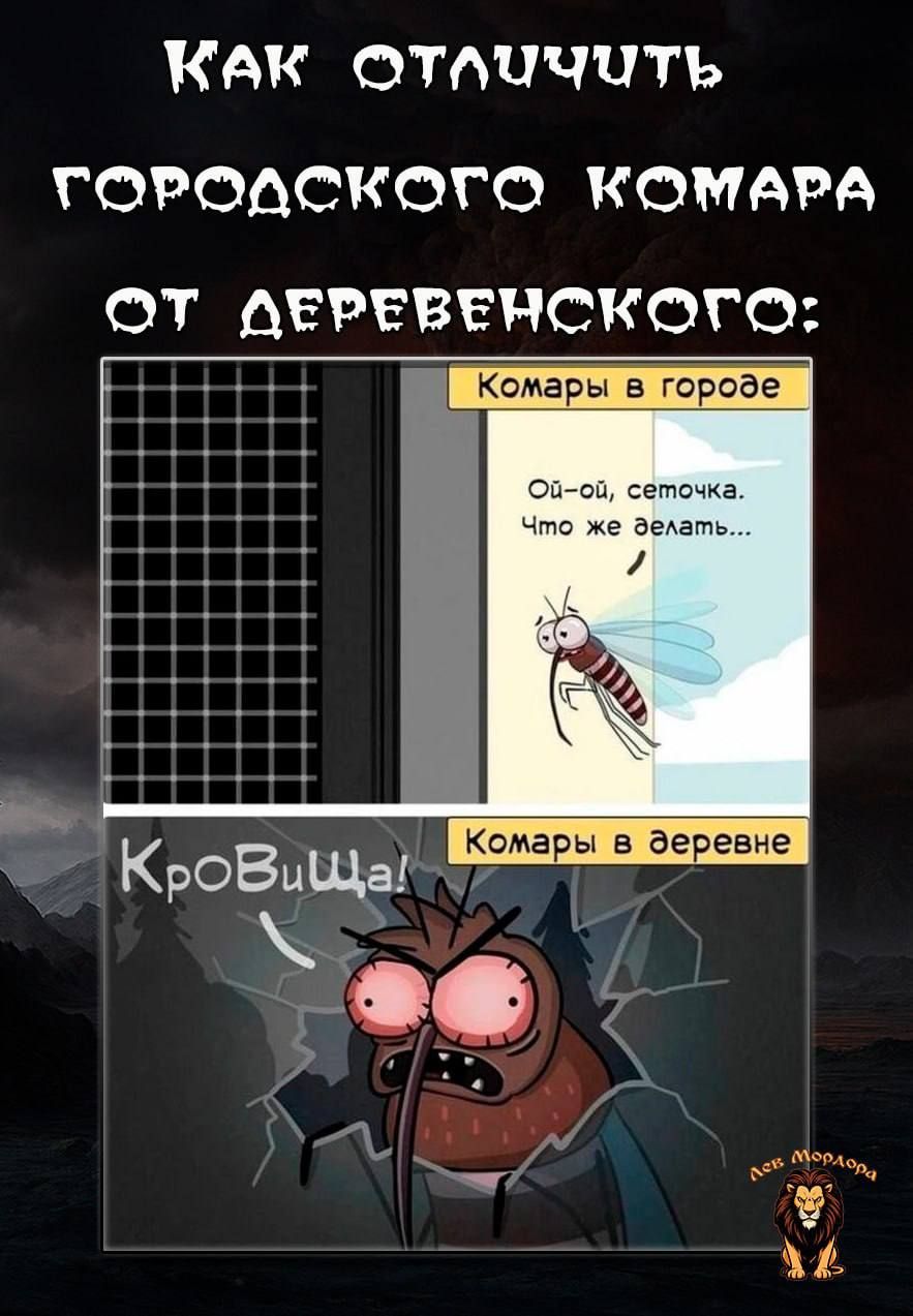 Как отличить городского комара от деревенского:

Комары в городе
Ой-ой, сеточка. Что же делать...

Комары в деревне
Крови!ша!
