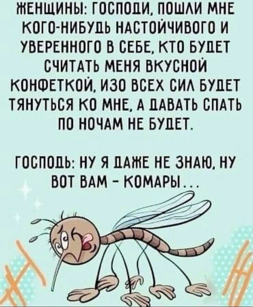 ЖЕНЩИНЫ: Господи, пошли мне кого-нибудь настойчивого и уверенного в себе, кто будет считать меня вкусной конфеткой, изо всех сил будет тянуться ко мне, а давать спать по ночам не будет.

ГОСПОДЬ: Ну я даже не знаю, ну вот вам - комары...