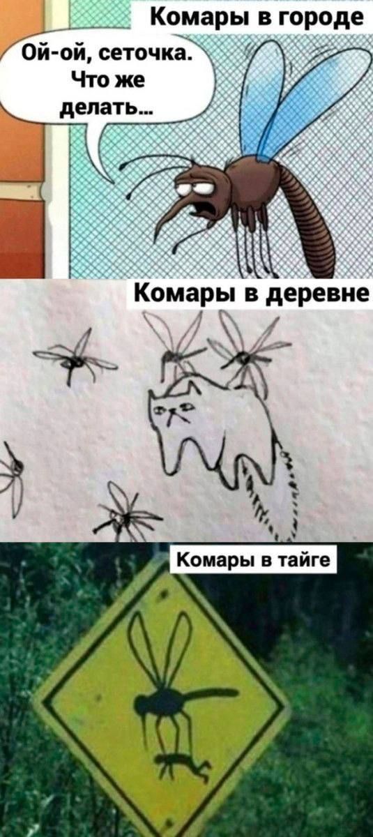 Комары в городе
Ой-ой, сеточка. Что же делать...
Комары в деревне
Комары в тайге