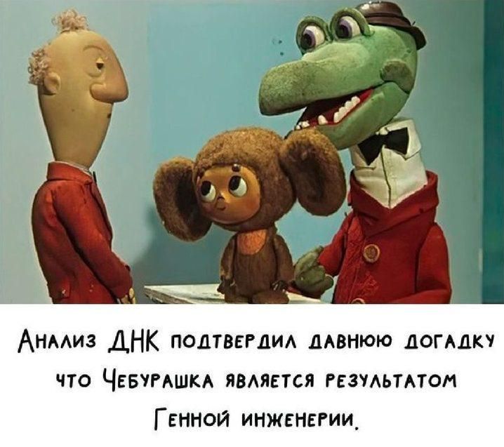 Анализ ДНК подтвердил давнюю догадку что Чебурашка является результатом Генной инженерии.