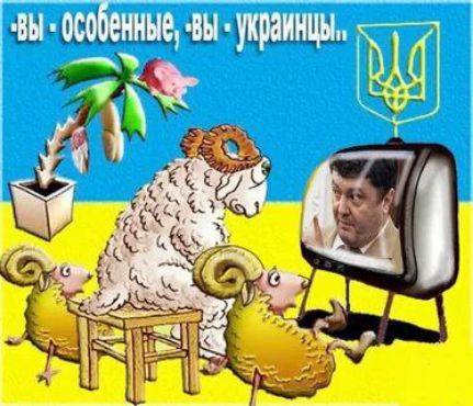 вы - особенные, вы - украинцы..