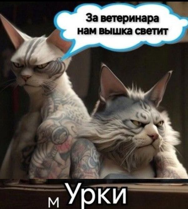 За ветеринара нам вышка светит