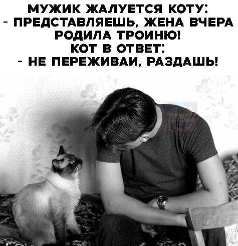 МУЖИК ЖАЛУЕТСЯ КОТУ: - ПРЕДСТАВЛЯЕШЬ, ЖЕНА ВЧЕРА РОДИЛА ТРОЙНЮ! КОТ В ОТВЕТ: - НЕ ПЕРЕЖИВАЙ, РАЗДАШЬ!